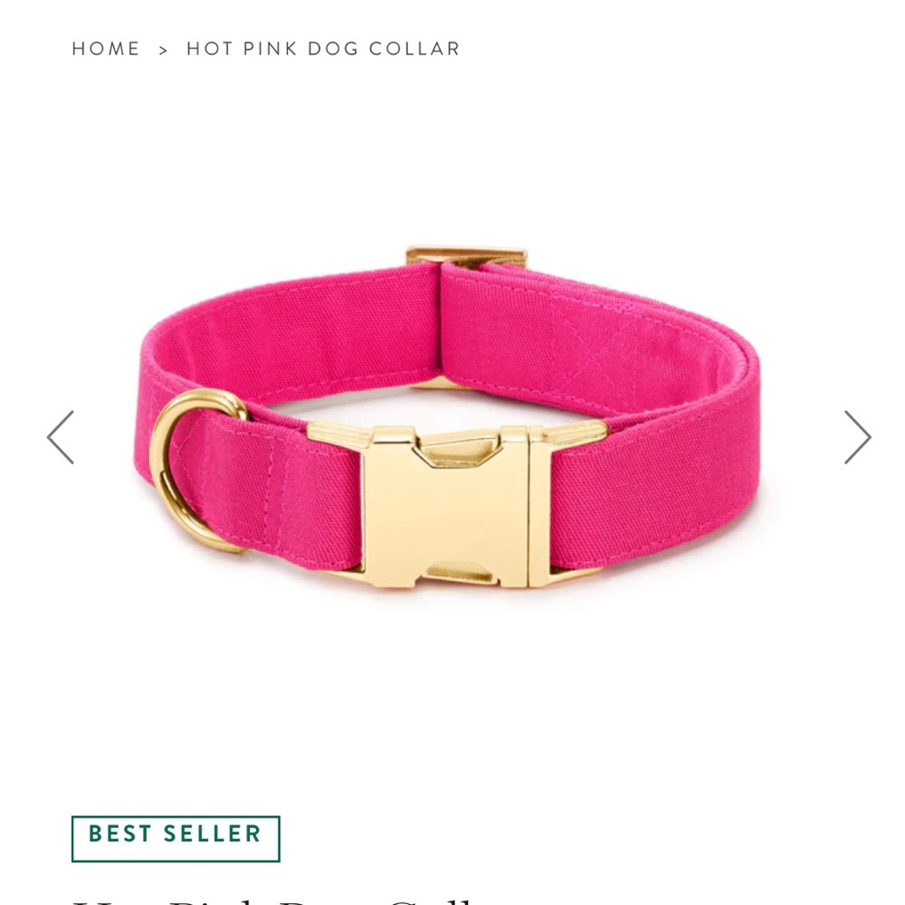 Brand New Hot pink leash and collar from The Foggy Dog